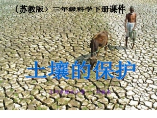 4土壤的保护