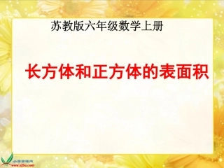 长方体和正方体的表面积例5