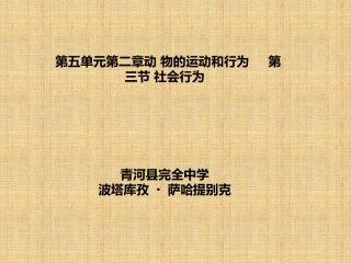 第三节-社会行为