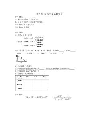 锐角三角函数复习