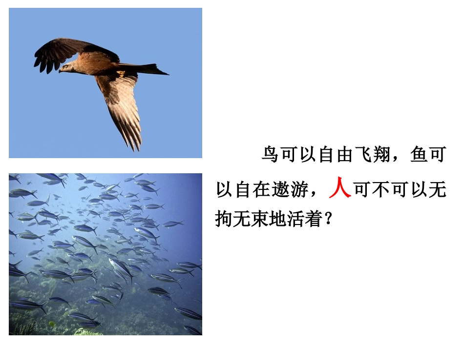 自由平等的真谛-(7)_第3页