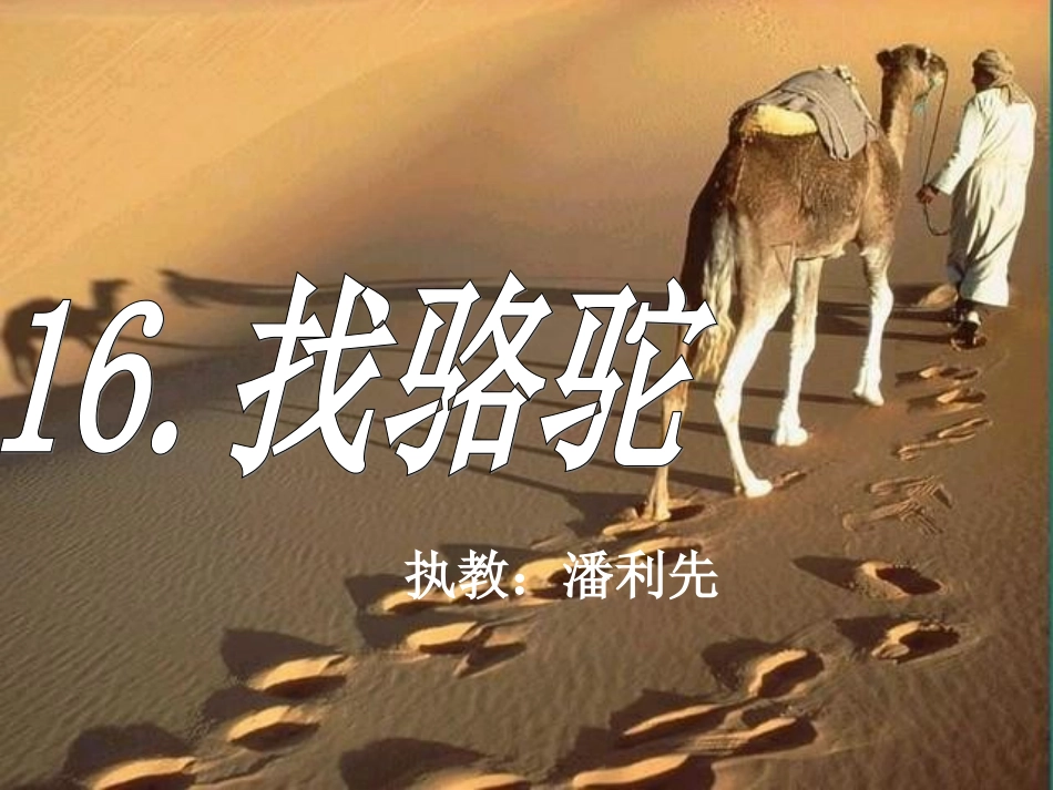 小学三年级语文上册16、找骆驼课件_第1页