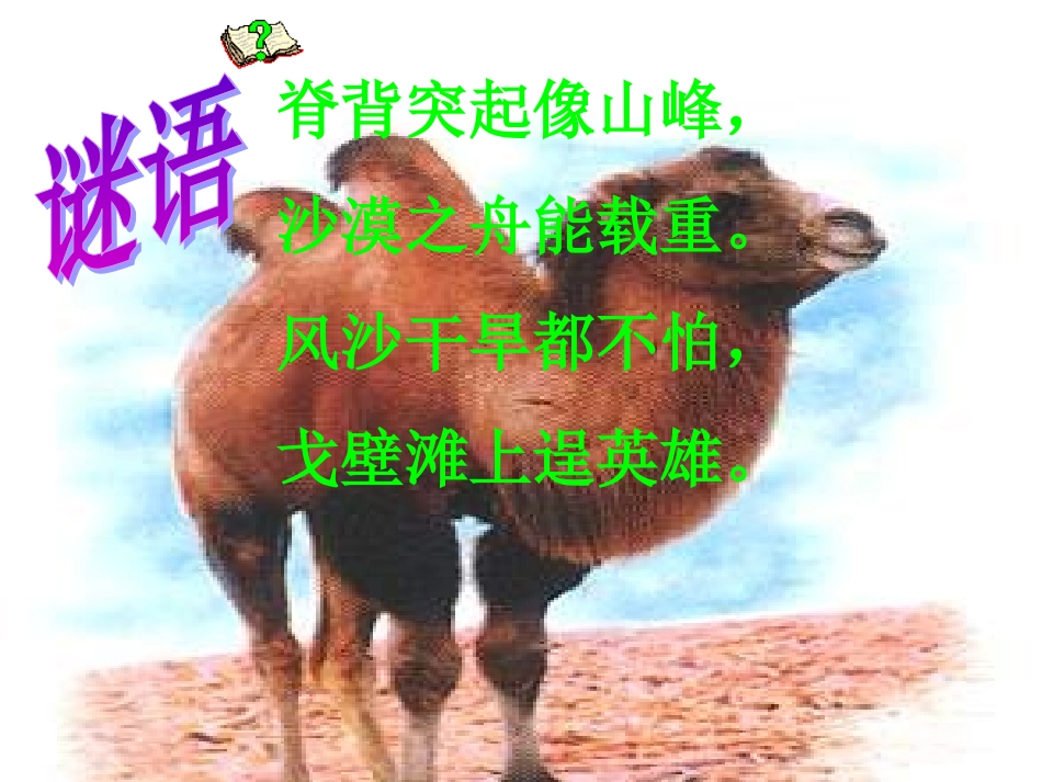 小学三年级语文上册16、找骆驼课件_第2页