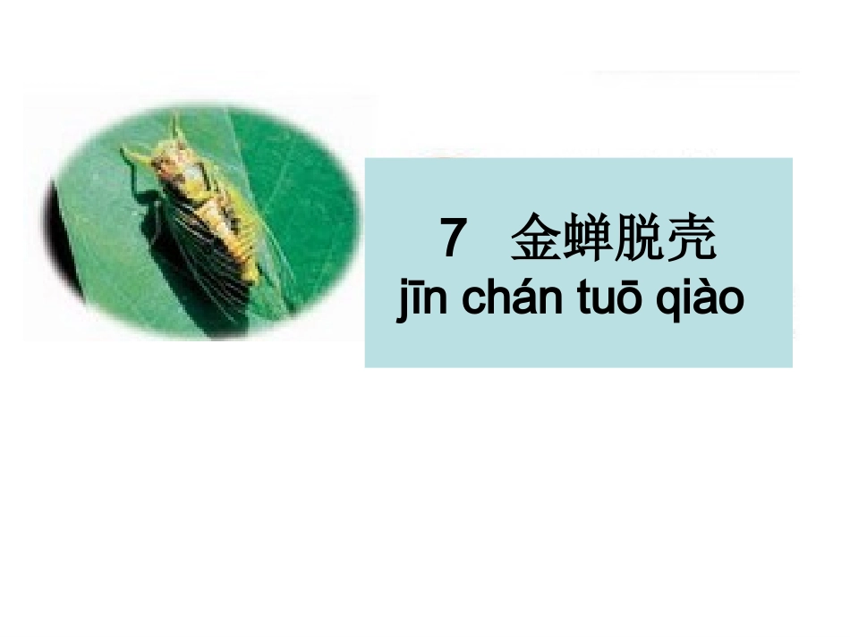 金蝉脱壳 (3)_第2页
