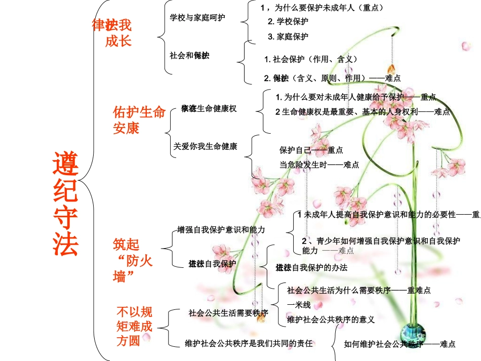 遵纪守法知识树_第2页