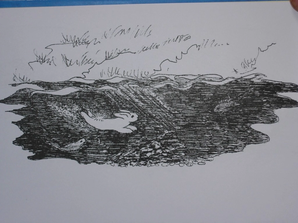 逃家小兔演示文稿_第2页