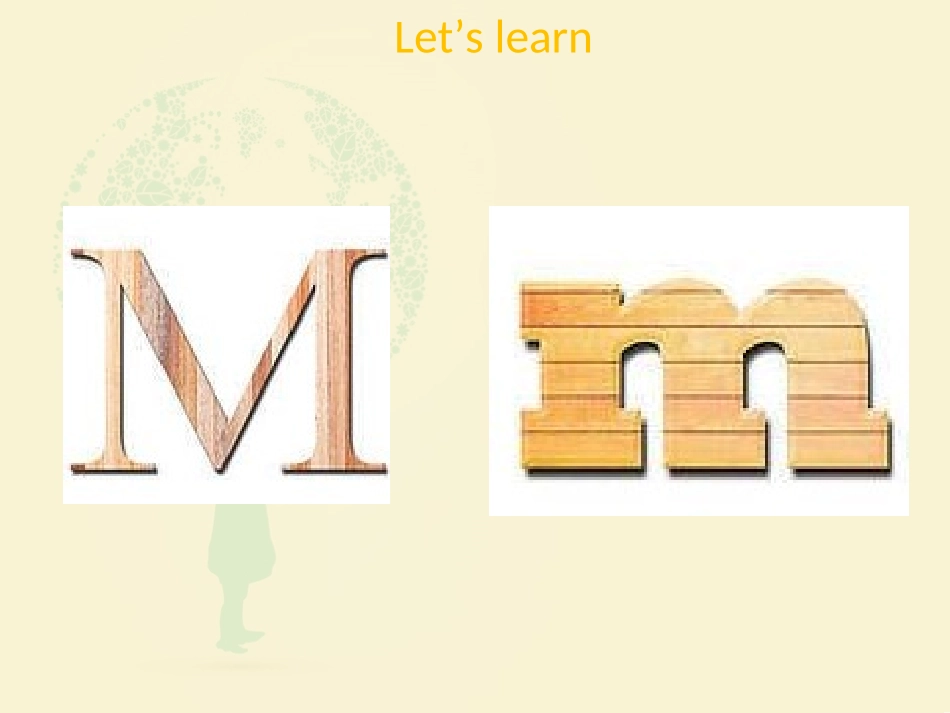 Unit-5-It's-a-parrot-Lesson-26-课件1_第2页