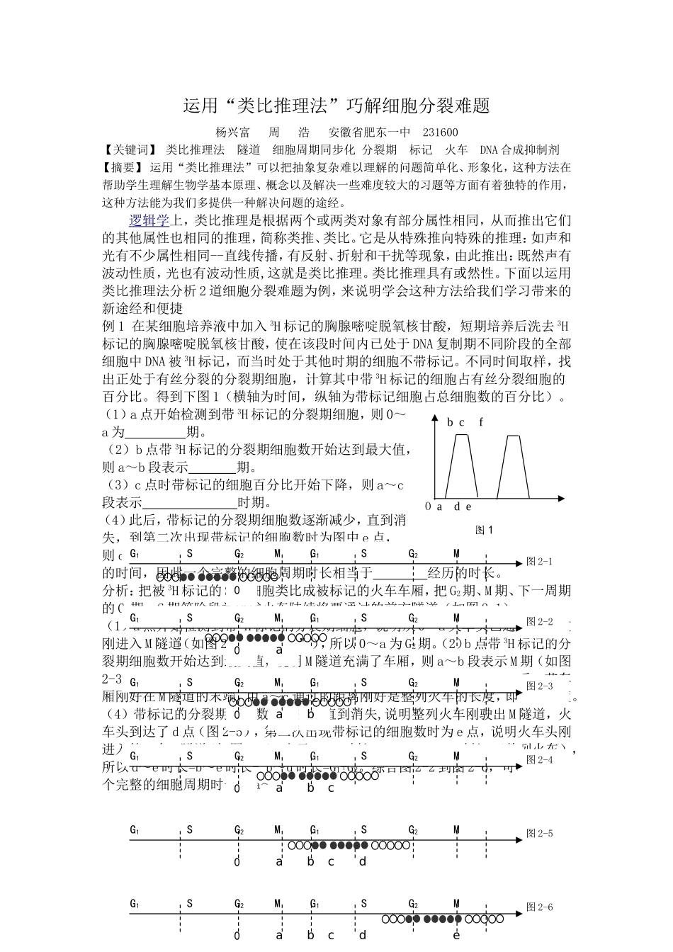 运用“类比推理法”巧解细胞分裂难题-副本_第1页