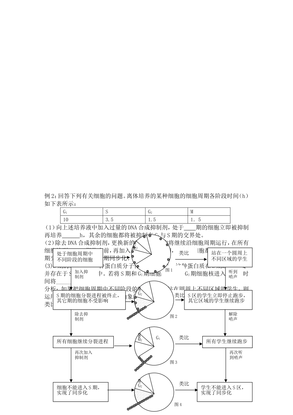 运用“类比推理法”巧解细胞分裂难题-副本_第2页
