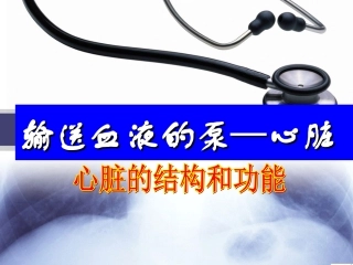 输送血液的泵——心脏完整版(1)