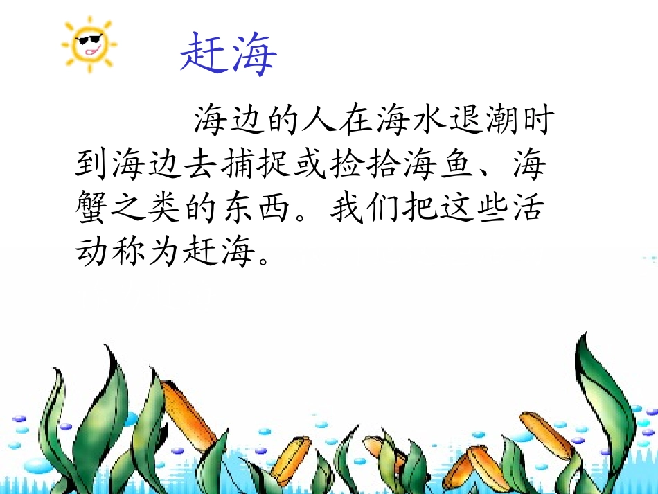 赶海第一课时_第3页