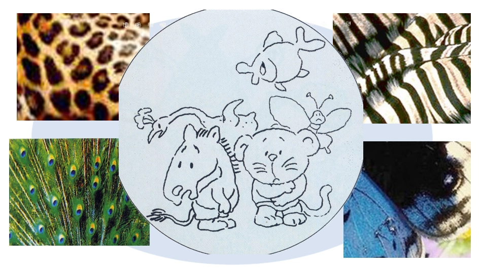 11.动物的“花衣裳”_第3页