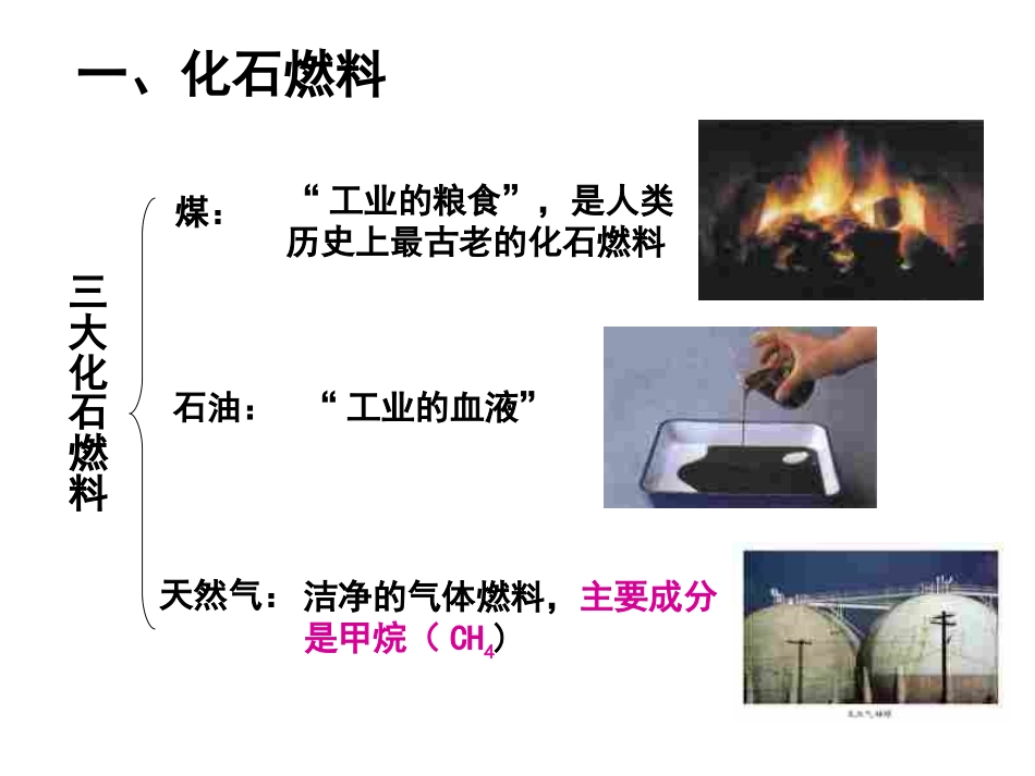 5.4古生物的“遗产”——化石燃料-(2)_第2页