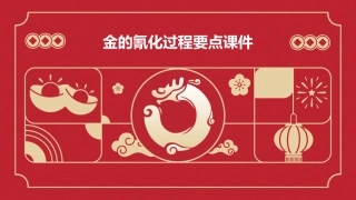 金的氰化过程要点课件