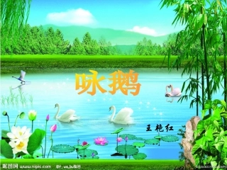 课件-咏鹅-王艳红