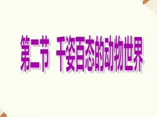 《第二节-千姿百态的动物世界》课件3
