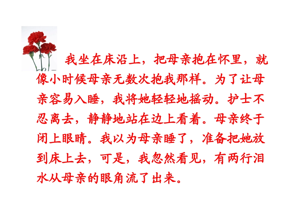 课件《第一次抱母亲》（第二课时）_第3页
