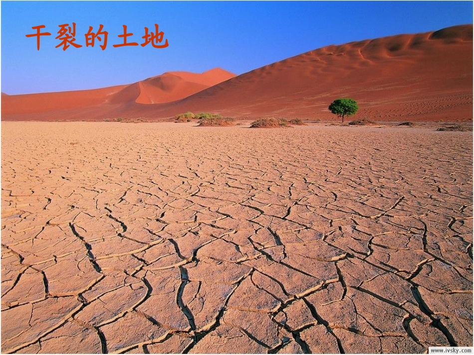 《青山不老》课件_第3页