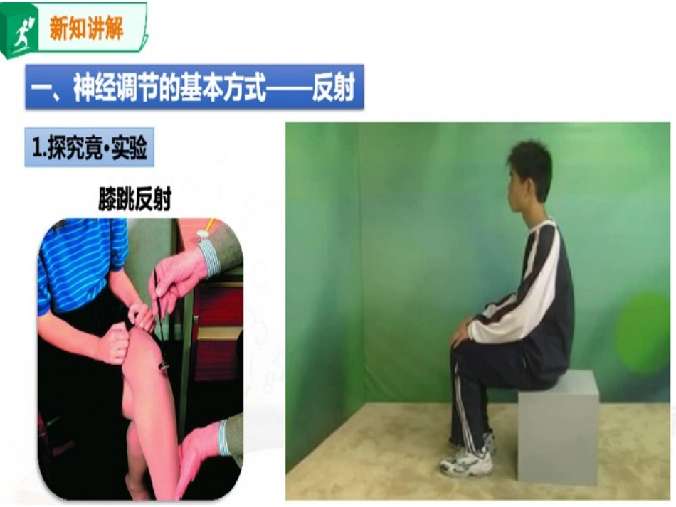 第三节信息的处理_第2页