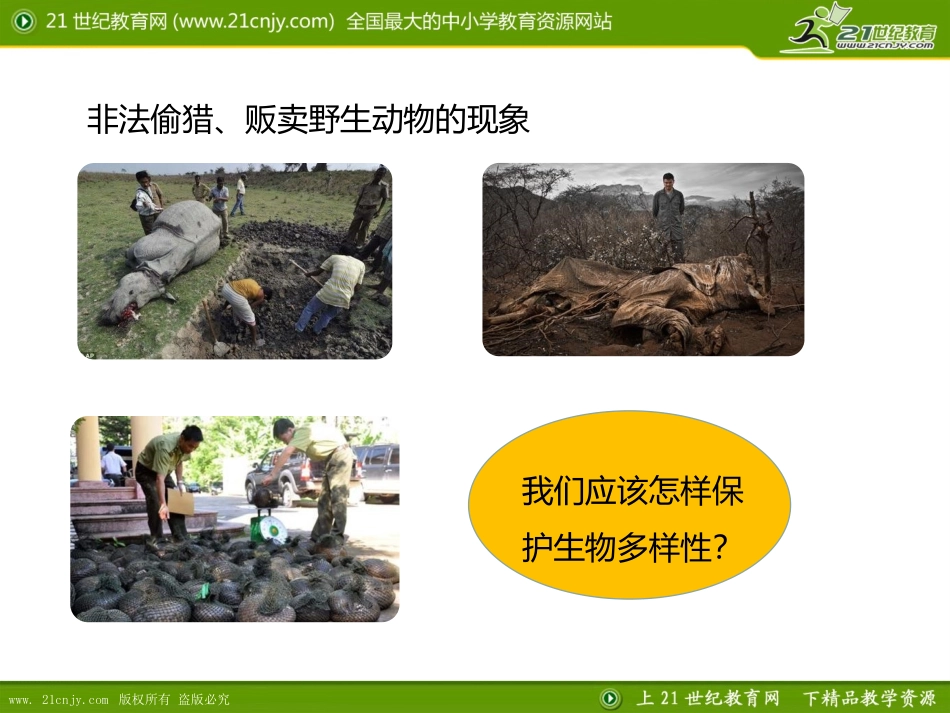 第三节保护生物多样性_第3页