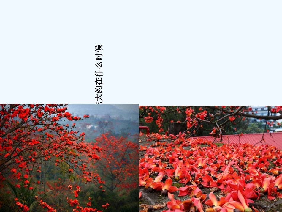 (部编)初中语文人教2011课标版七年级下册一棵小桃树(上课的课件)_第2页