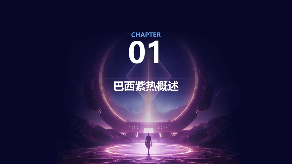 巴西紫热护理课件_第3页