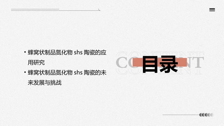 蜂窝状制品氮化物SHS陶瓷课件_第3页