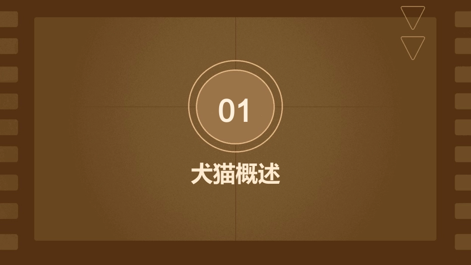 犬猫基础知识课件_第3页
