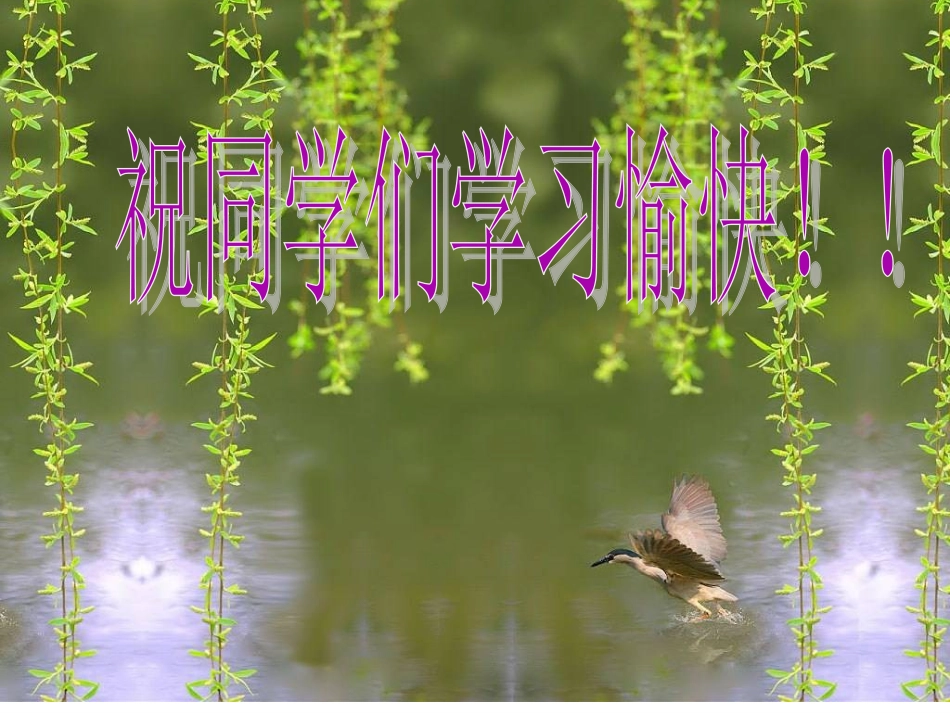 151有理数的乘方课件1_第1页