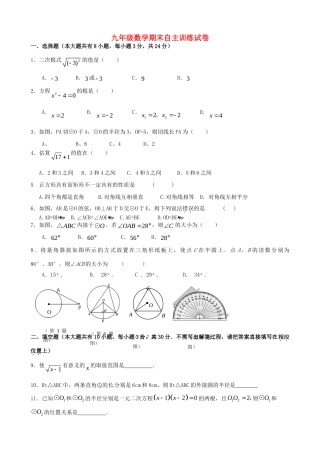 九年级数学上册 期末自主训练试卷 苏科版试卷