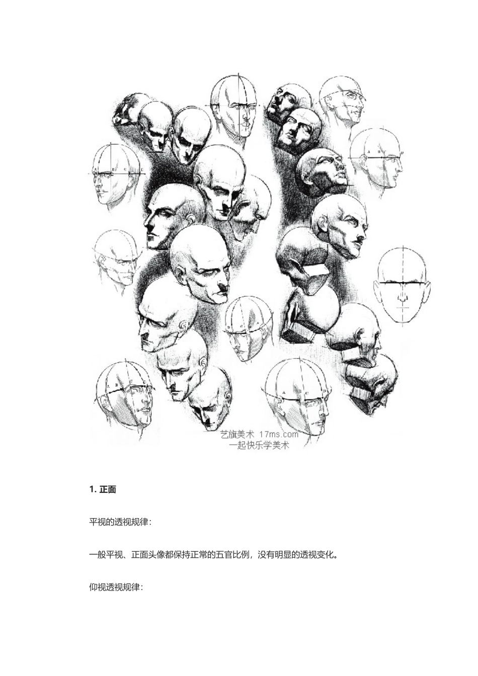认识素描头像之透视技巧_第2页