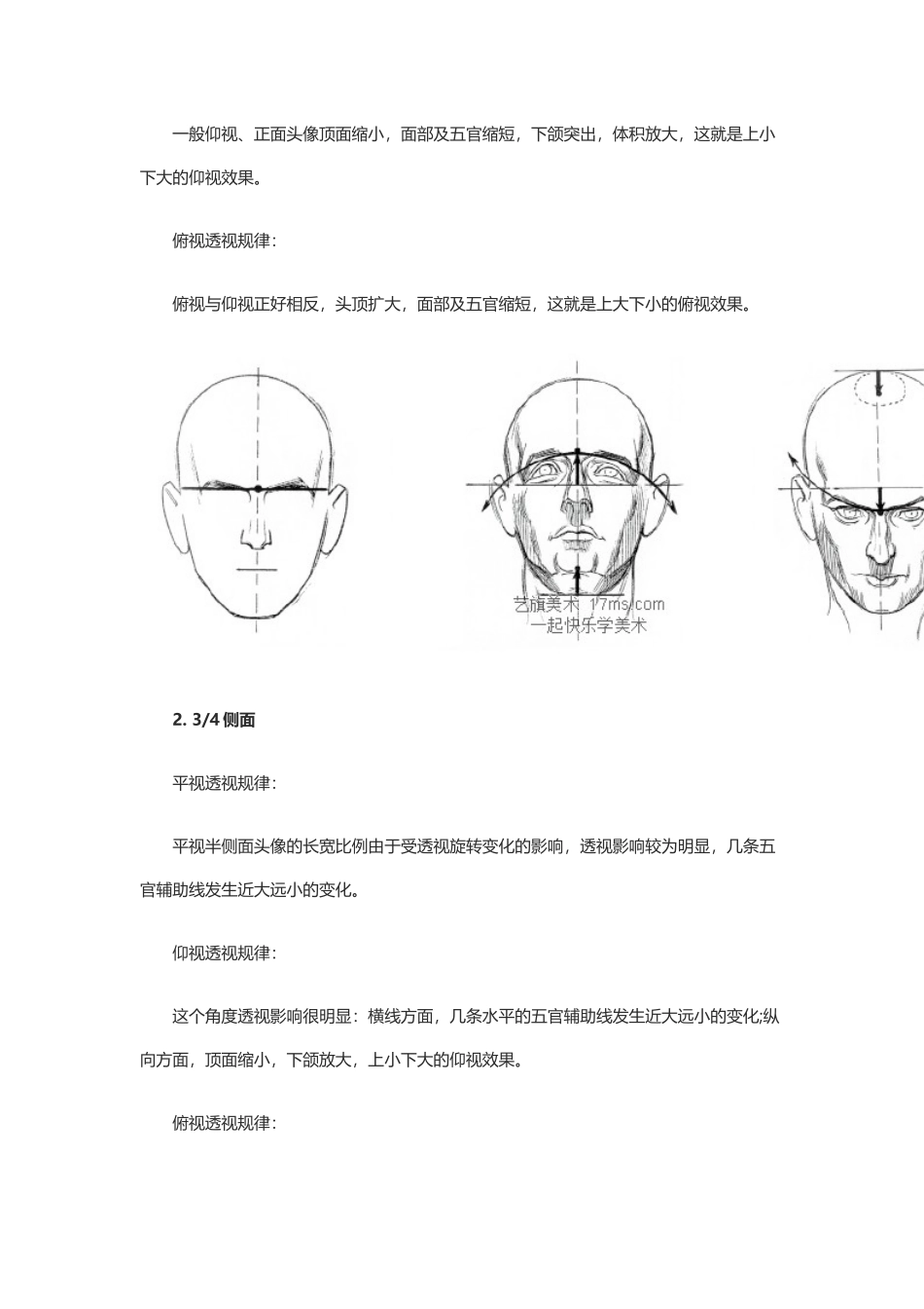 认识素描头像之透视技巧_第3页