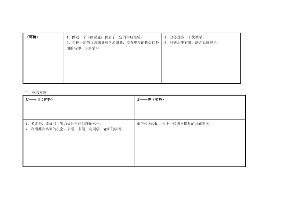潘的个人自我诊断SWOT分析表_第2页