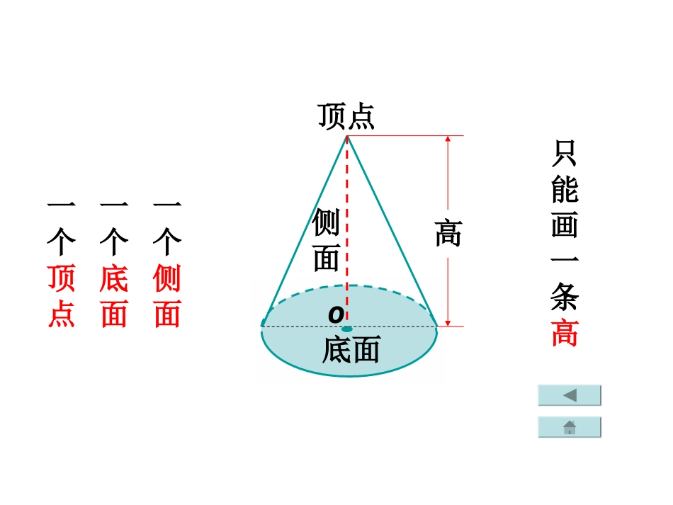 认识圆柱和圆锥_第3页
