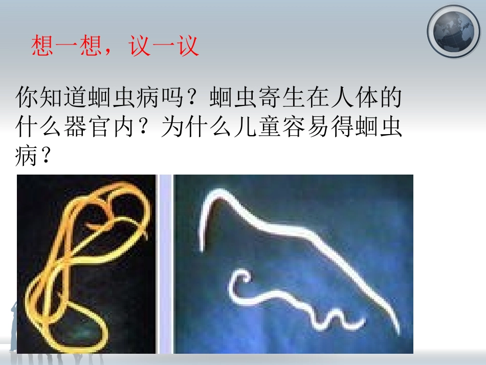 第2节线形动物和环节动物_第2页