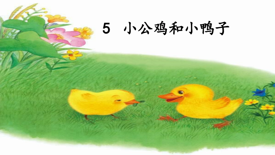 (部编)人教语文2011课标版一年级下册5-小公鸡和小鸭子-(2)_第2页
