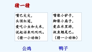 (部编)人教语文2011课标版一年级下册5-小公鸡和小鸭子-(2)