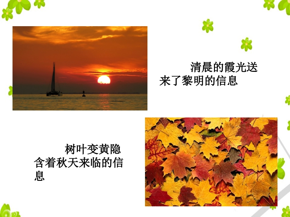 认识信息世界_第2页