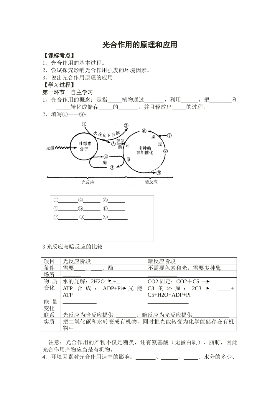 影响光合作用的环境因素_第1页