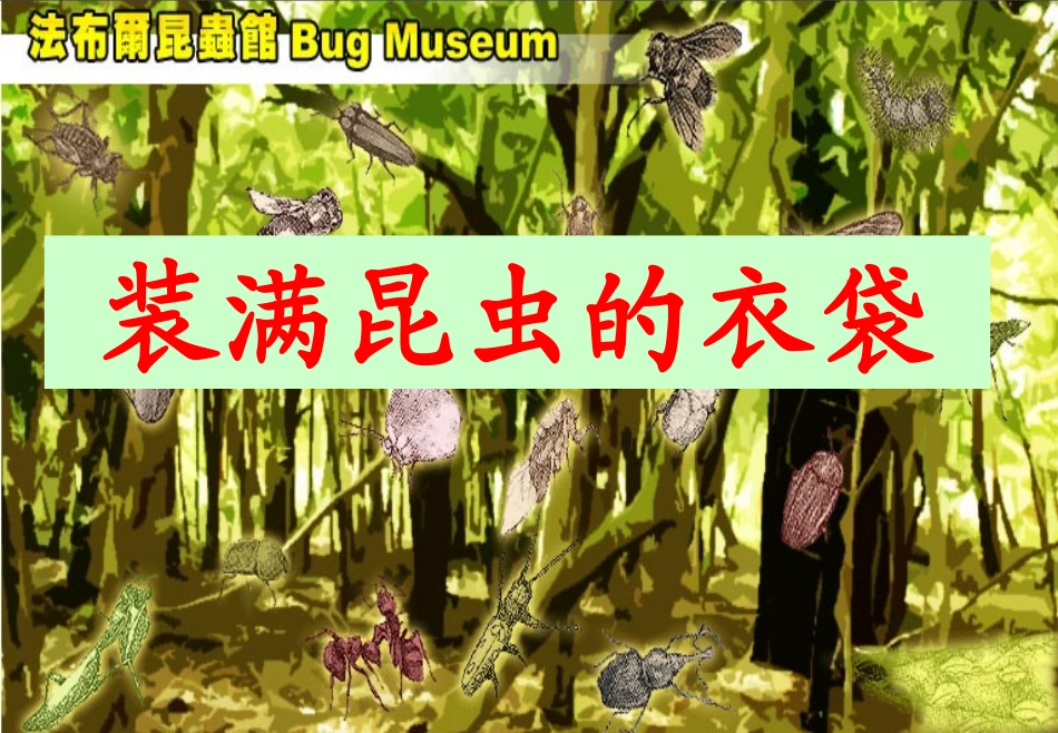 装满昆虫的衣袋 (5)_第1页