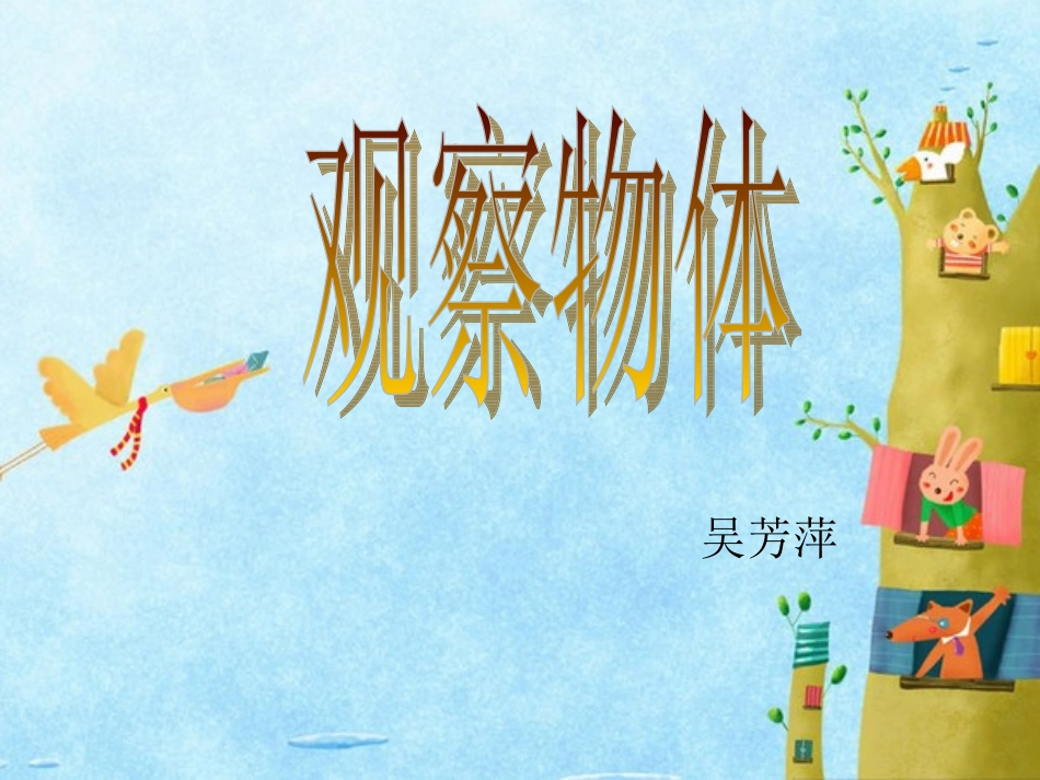 观察物体（吴芳萍）_第1页