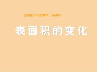 表面积的变化 (2)