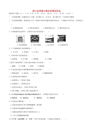九年级化学下学期第八周周末作业试卷 苏教版试卷