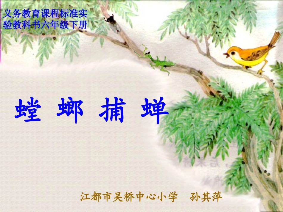 螳螂捕蝉 (3)_第2页