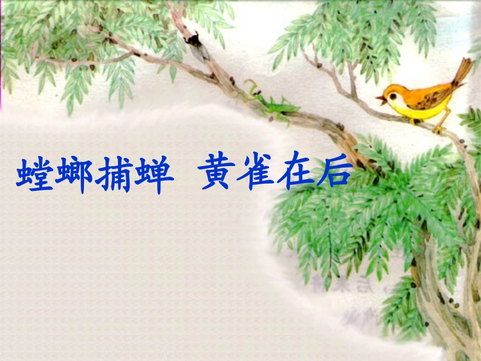 螳螂捕蝉课件_第2页