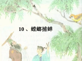 螳螂捕蝉课件