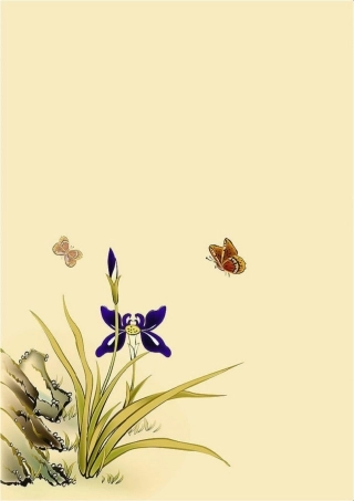 蝴蝶花 (2)