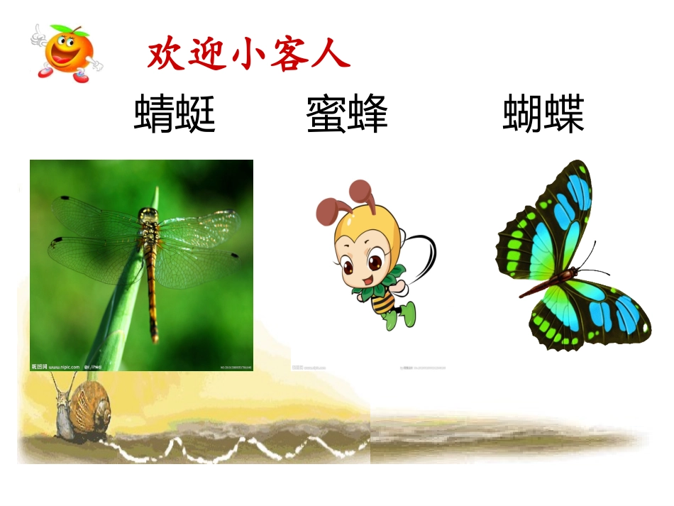 蜗牛的奖杯上课用的_第2页