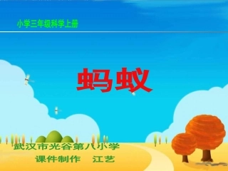 蚂蚁三年级科学上课课件