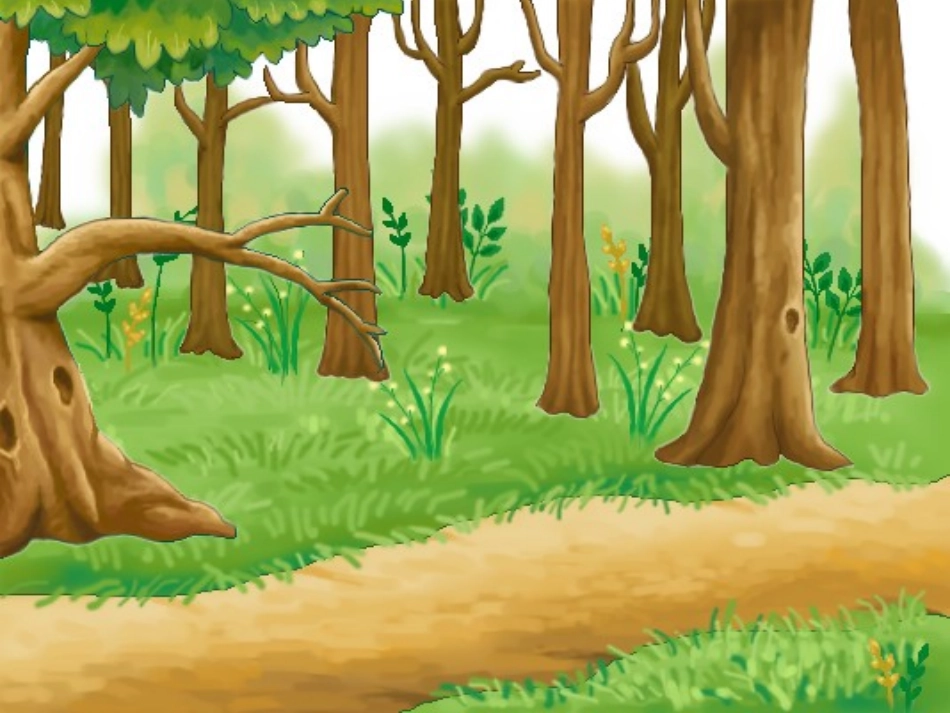 蘑菇该奖给谁第二课时_第1页